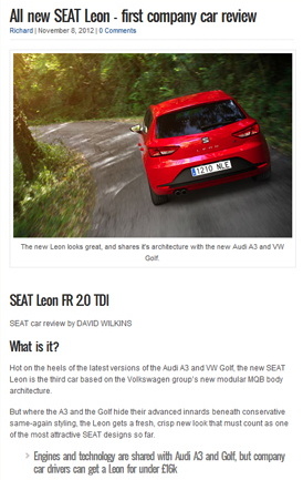 Business Car Manager Leon review